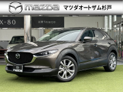 CX-30